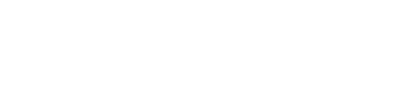 89C3 API